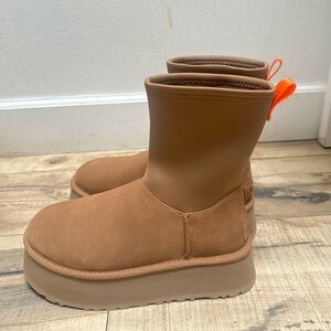 Chestnut ugg
